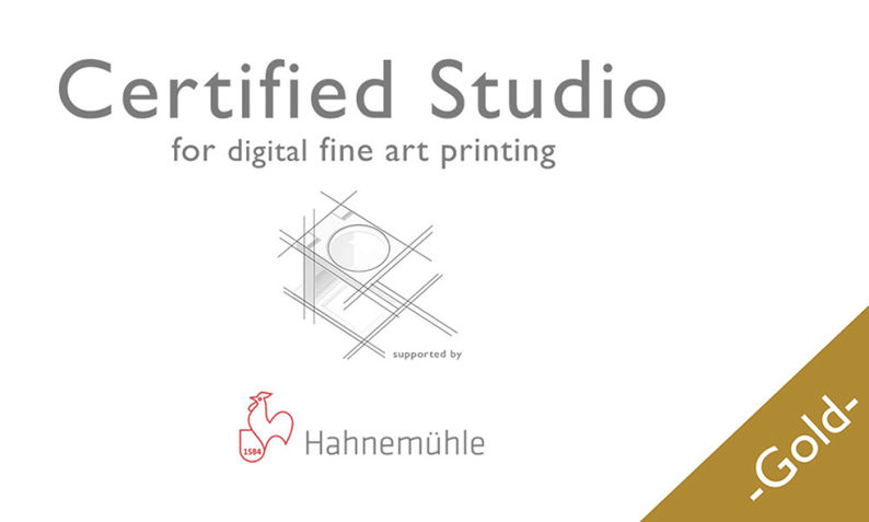 Fine art en kunstprint Friesland